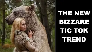 Women Choose Bear Over Man