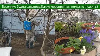 #мойлюбимыйсад