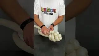 Latte Caterpillar  Balloon Twisting Tutorial  