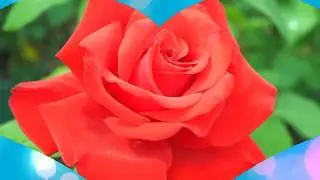 С Днём Рождения внучке💖