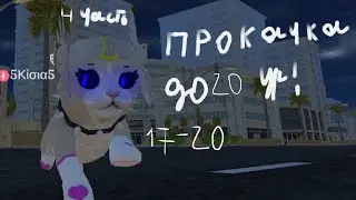 ПРОКАЧКА ДО 17-20 CAT & PUPPY WORLD