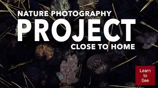 My new Nature Photography Project Close to Home