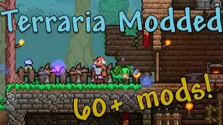 I Played Terraria with WAY TOO MANY Mods and Got INSANE Results!