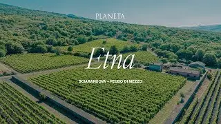 PLANETA: Territori - Etna