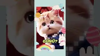 İyi ki Doğdun BABACIM 🎂 Bugün Kimin Doğum Günü