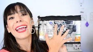 travelling  — all the toiletries in the carry on
