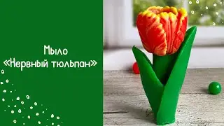 Мыло ручной работы «НЕРВНЫЙ ТЮЛЬПАН» Мыловарение для новичков