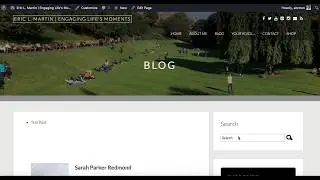 Quickly Display WordPress Posts by Blog Category in Page or Post