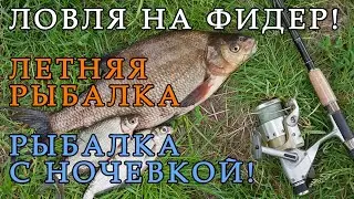 Ловля на фидер леща, карпа, подлещика. Летняя рыбалка 2021. Рыбалка с ночевкой.