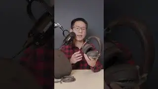 A mix between the Sennheiser HD600 and Focal Elex? Focal Hadenys Impressions 