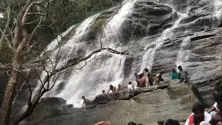 Yercaud trip | Kiliyur falls | CuckooKitchen & vlogs