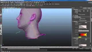 How to paint skin weights in Maya 2012