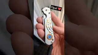 CHRIS REEVE OPAL SEBENZA 31 @chrisreeveknives7828 @bladescanada-wandw #knifeoftheday #edcgear