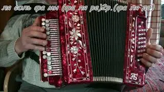 Песенка шофера, видеоразбор(ноты,цифры) на гармони.