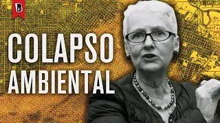 Catástrofe ambiental e a lógica capitalista | Virginia Fontes