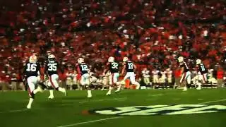 Auburn Tigers Highlights- UGA 2010