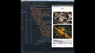 Flutter UI - Fade Animation Example