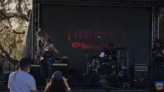 THE CURT TOWNE BAND:  “Flowers on the Top”