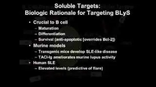 Systemic Lupus Erythematosus