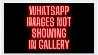 whatsapp photos not showing in gallery