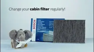 Bosch Carbon Cabin Air Filter help you keep away from bacteria and allergens - Bosch Auto Parts