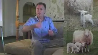 The Insanity of Humanity