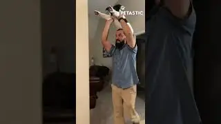 Flying Dog Alert! | PETASTIC | 