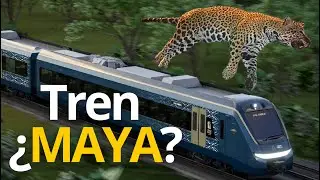 Me infiltré en un cenote debajo del TREN MAYA y ENCONTRÉ ESTO