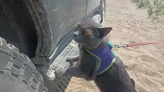Лето на Сахалине, начало нового сезона 2022