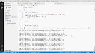 STM32WLE5JC - LoRa-E5 - PlatformIO - Arduino