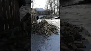 Куча дров быстро и просто! Двухзаходный конус от oDrova.ru на мотоблоке "Нева".