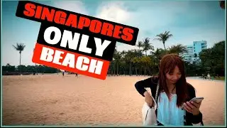 This is the ONLY Beach in Singapore 🇸🇬 But it’s beautiful 🤩