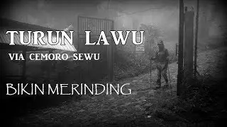 Turun Lawu via Cemoro Sewu Bikin Merinding | Review Jalur | Part 2