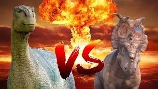 ALADAR VS PATCH