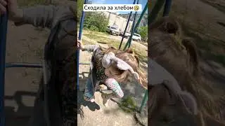 Сходила за хлебом 🤣 #shorts #шортс