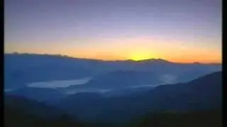 Kate Bush - Wild Man