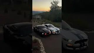 Mustangs at SlammedEnuff Gat