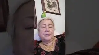 Konuşan Muhabbet Kuşu