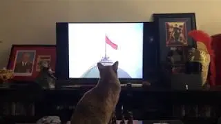 Cat Watching Soviet National Anthem