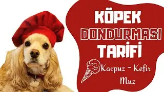 Köpek dondurması yapıyoruz 🤩