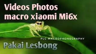 Videos photos macro with xiaomi mi6x camera