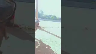 #viral #automobile #shaikh #viralvideo #account #shaik #poetry #love #music #smartphone