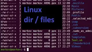 Работа с каталогами и файлами в терминале Linux