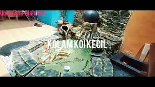 Kolam koi minimalis