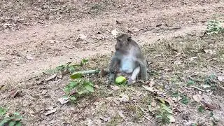 Momy Jenny looks for her kids…