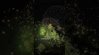 🎆 Друзья, а Вы бы хотели посетить такой фестиваль в Корее?👇🏻