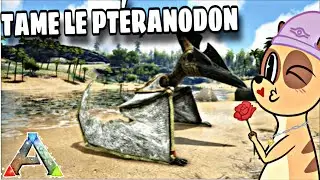 Suri'ARK : Le premier dino volant !!!!! 🦕