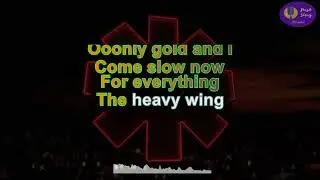 Red Hot Chili Peppers - The Heavy Wing  - back vocals (Karaoke version)