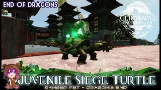 GW2 - Juvenile Siege Turtle Ranger pet