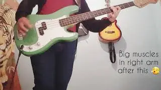 Sad Lovers & Giants - Things We Never Did ( Bass Cover)
